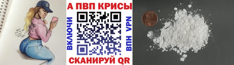 APVP СК Вольск