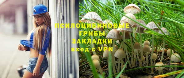 соль курить ск Михайлов