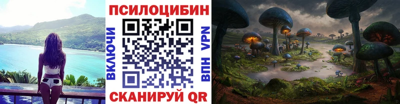 Галлюциногенные грибы мицелий  ссылка на мегу ССЫЛКА  Вольск  как найти закладки 